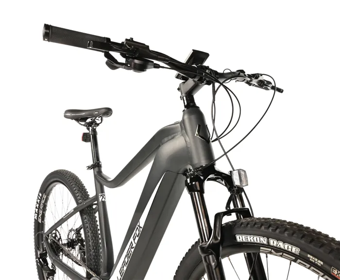 E-BIKE AWALON GENT 29", 21,5"-1, GREY MATT (M420)