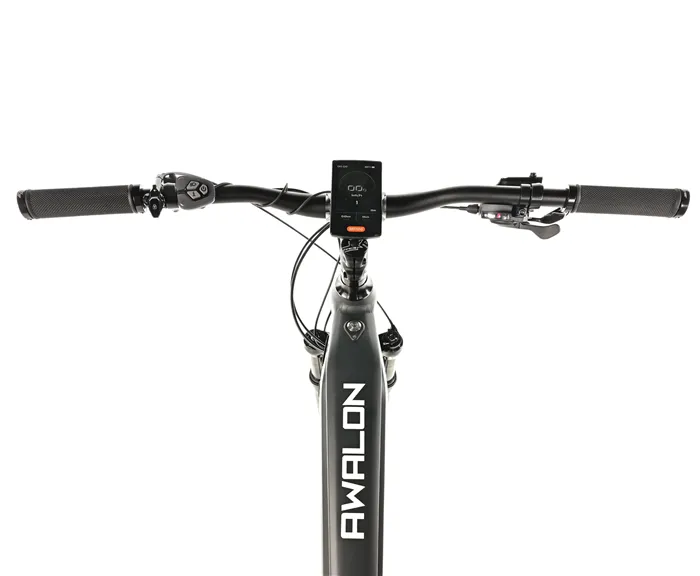 E-BIKE AWALON GENT 29", 21,5"-1, GREY MATT (M420)