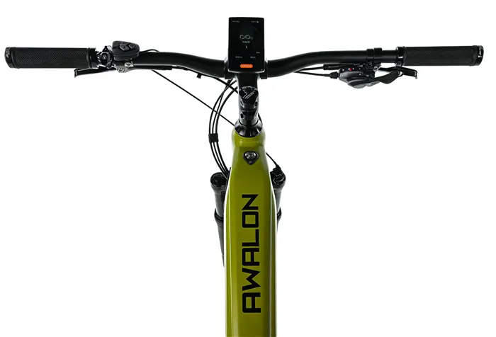 E-BIKE AWALON GENT 29", 19,5"-2, ARMY GREEN (M420)