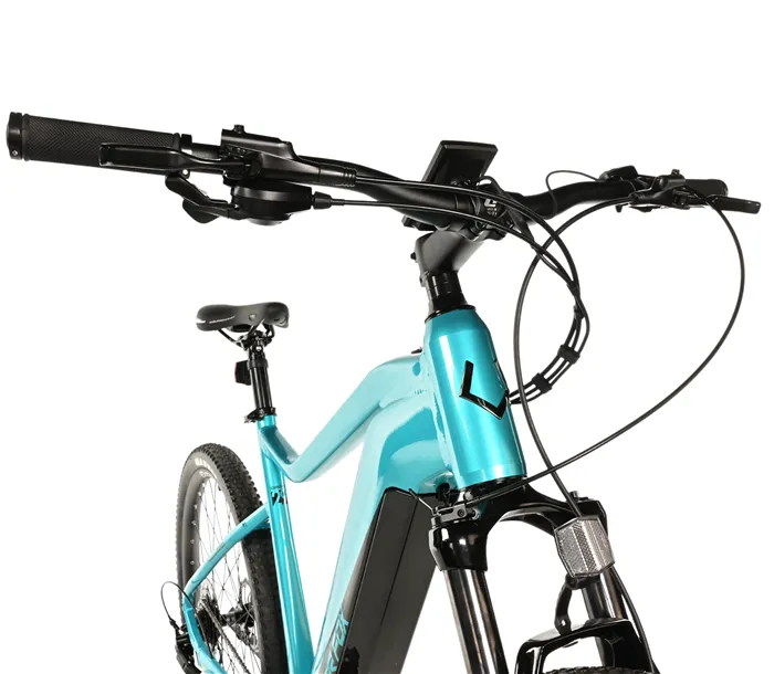 E-BIKE AWALON GENT 29", 19,5"-3, BLUE LIGHT (M420)