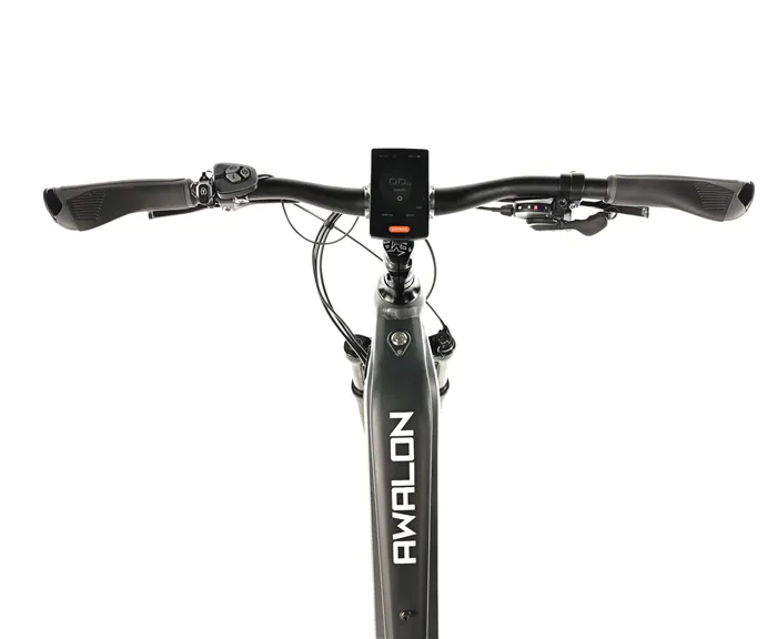 E-BIKE AWALON LADY 29", 18"-1, GREY MATT (M420)