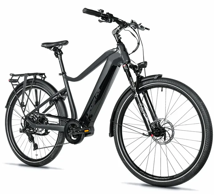 E-BIKE 28" LUCAS GENT 22,5"-2, GREY MATT (M420)
