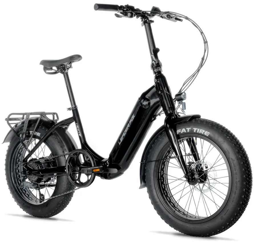 CODY 20"