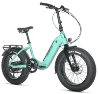 CODY 20"