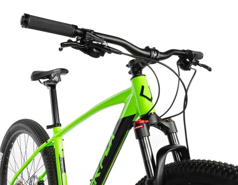 EVOLUTION 29"