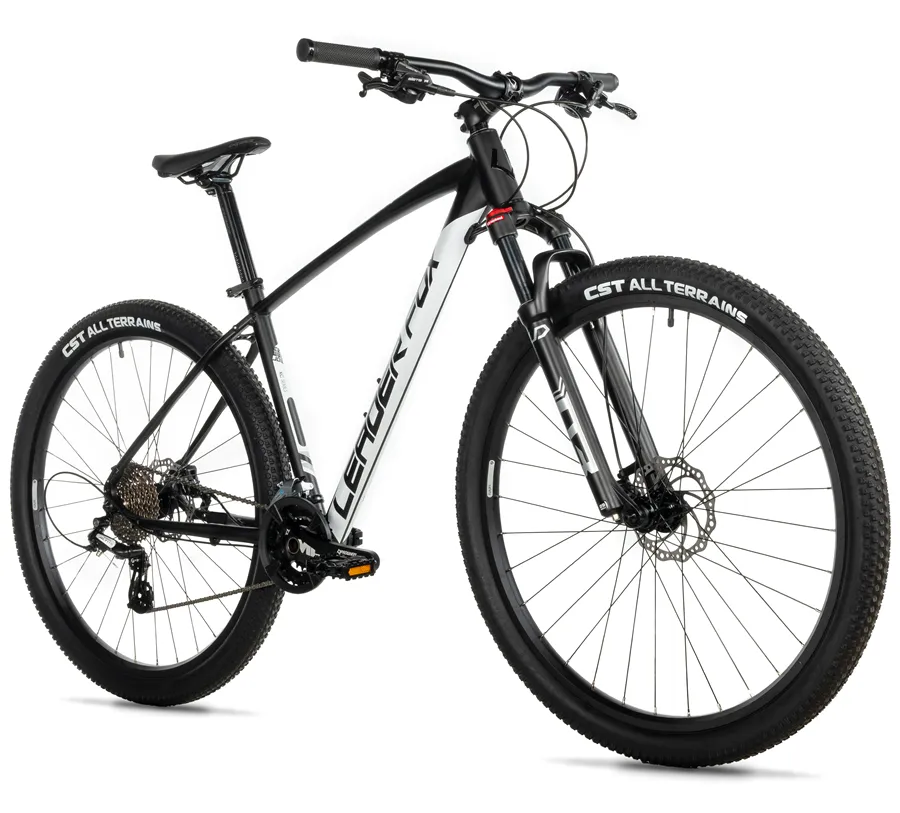 EVOLUTION 29"