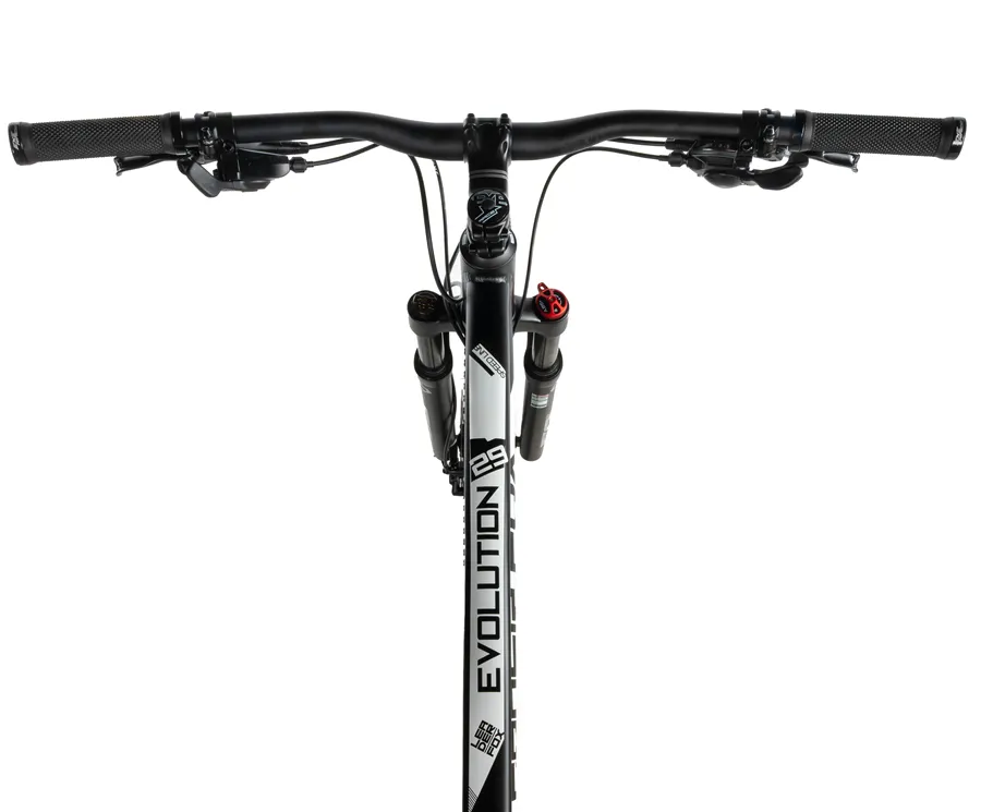 EVOLUTION 29"
