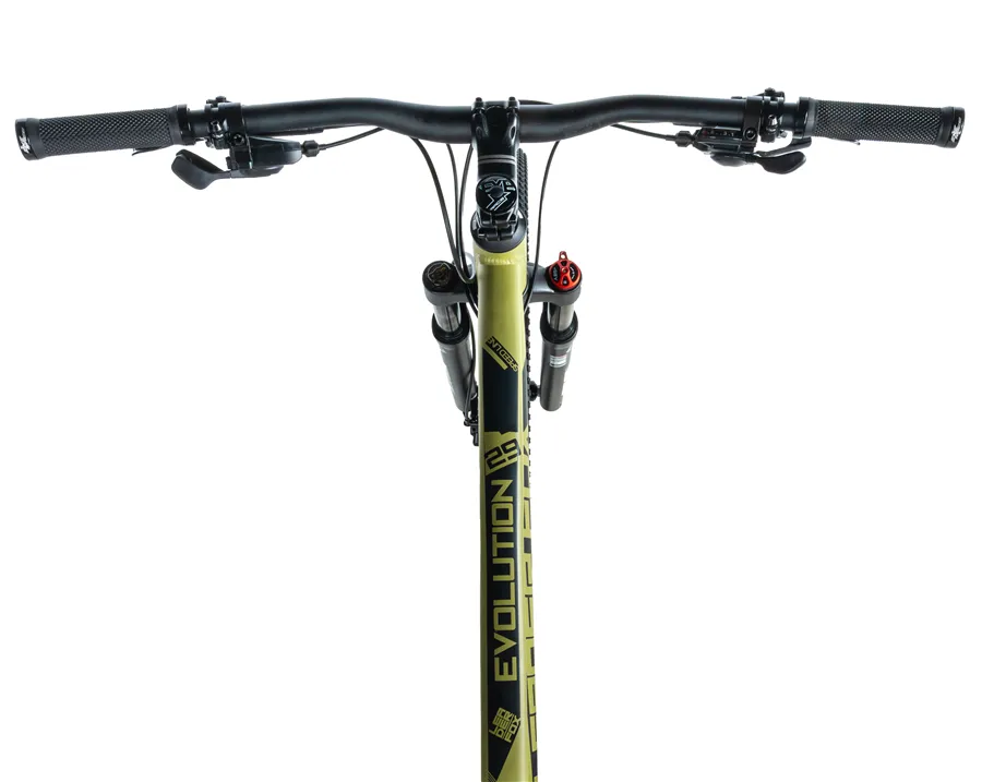 EVOLUTION 29"