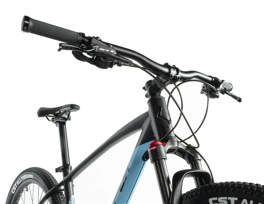 EVOLUTION 29"