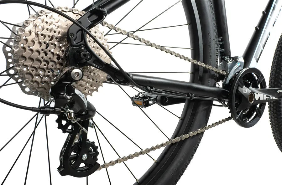 EVOLUTION 29"