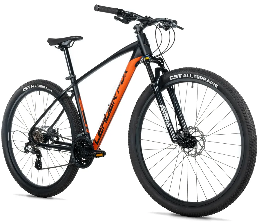 JASPER 29"