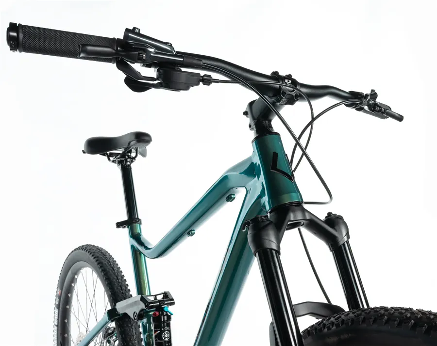 CASPER 29"