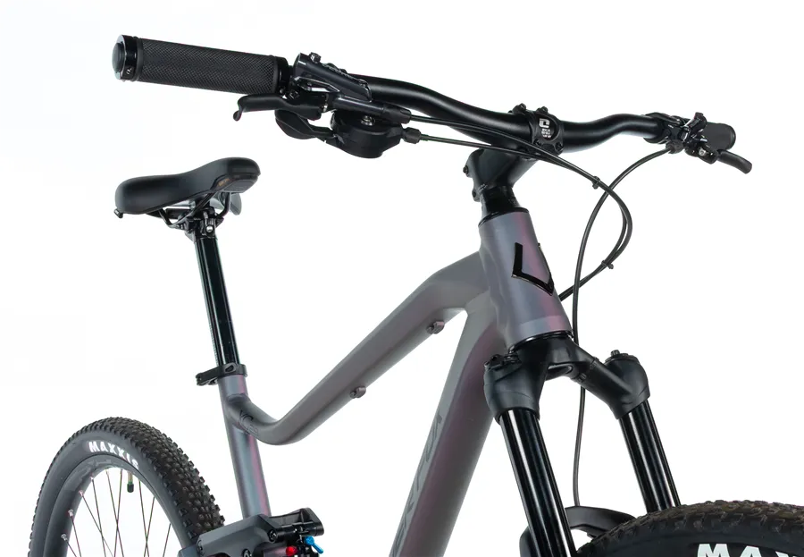 CASPER 29"