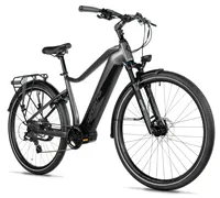 EXETER 28" PÁNSKÝ