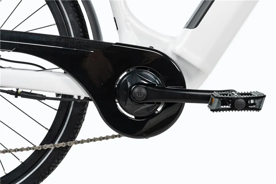 LOTUS 26"